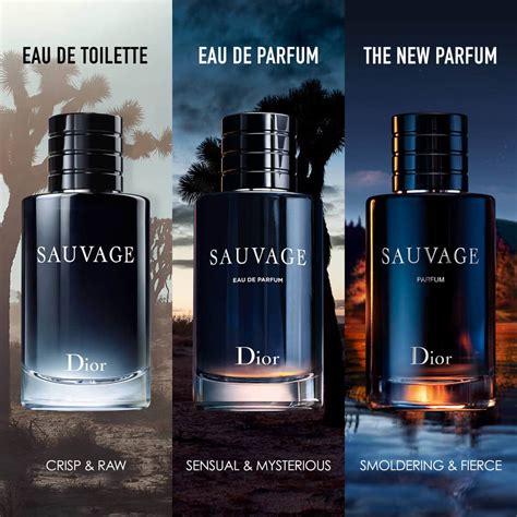 dior conserve|dior sauvage fragrance.